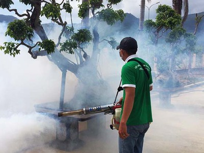 Công ty diệt muỗi tại Bắc Ninh - Diệt muỗi tại nhà giá rẻ 1