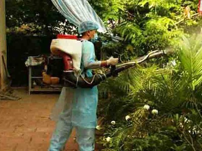 Công ty diệt muỗi tại Bắc Ninh - Diệt muỗi tại nhà giá rẻ 2