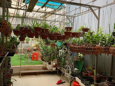 Bán biệt thự mini 150m2 phố Tôn Đức Thắng, Lê Chân, Hải Phòng siêu đẹp 2