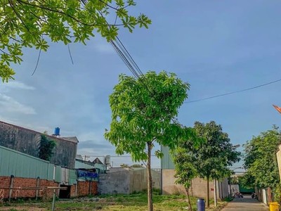 Đất nền sổ sẵn DT743 giá siêu rẻ 1