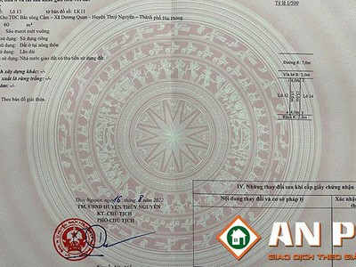 Bán đất tái định cư Bắc Sông Cấm, Dương Quan - Thuỷ Nguyên 0