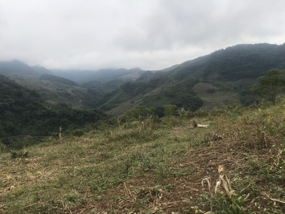 2,5HA ĐẤT MỘC CHÂU Ô TÔ TẢI LÊN ĐẤT view thung lũng giá cực rẻ 0