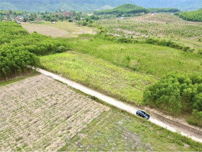 Cần bán loa cổ đang nghe tốt 735