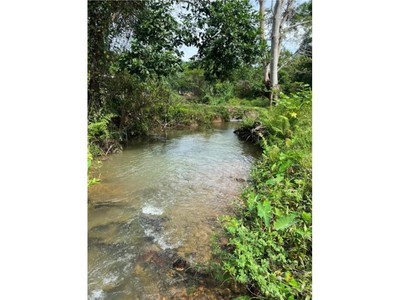 Cần bán loa cổ đang nghe tốt 1384