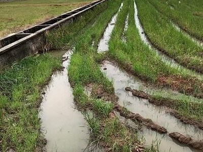 Cần bán loa cổ đang nghe tốt 544