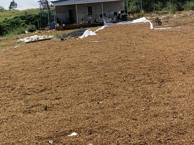 Chính chủ bán căn tập thể tầng 1 thành công, ngõ 5 láng hạ gần đại sứ quán mỹ, dt 75m2, 2pn 2