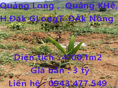 Cần bán loa cổ đang nghe tốt 1059