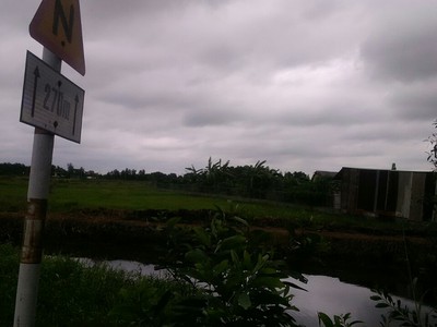 Bán gấp 1000m2 đất cây lâu năm, Hồ Thị Bưng, Tân Thạnh Tây, Củ Chi 1,05 tỷ thu về 1