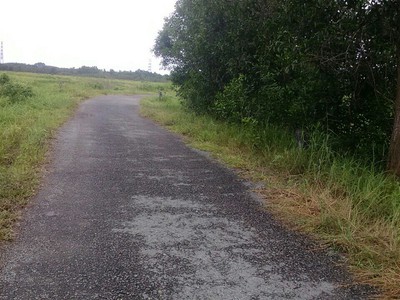 Bán gấp 1000m2 đất cây lâu năm, Hồ Thị Bưng, Tân Thạnh Tây, Củ Chi 1,05 tỷ thu về 2