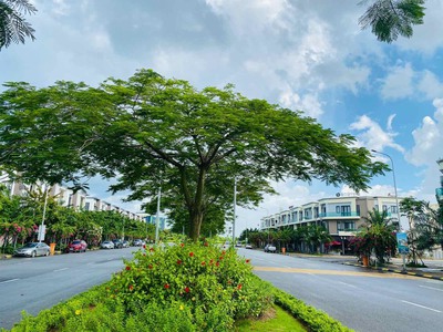 Cần bán loa cổ đang nghe tốt 952