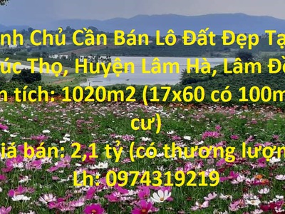 Cần bán loa cổ đang nghe tốt 278