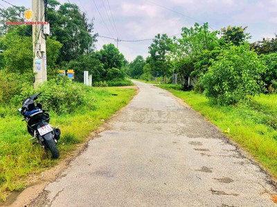Cần bán loa cổ đang nghe tốt 1932