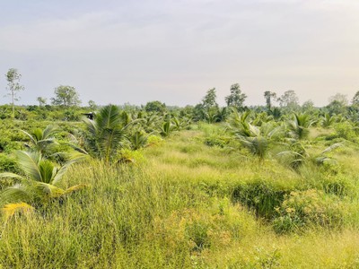 Cần bán loa cổ đang nghe tốt 1159