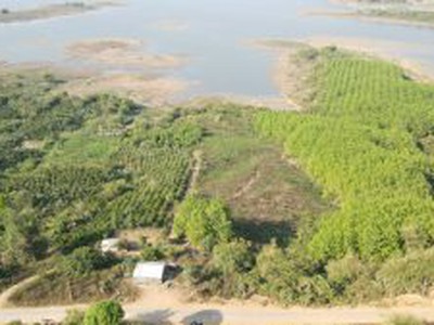 Cần bán loa cổ đang nghe tốt 1624
