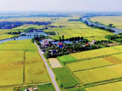 Cần bán đất làm xưởng 8ha Thường Tín, Hà Nội.  Diện tích 80.000m .  Bao gồm đất nông nghiệp 50 năm d 0