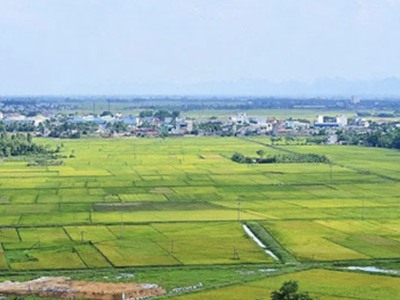 Cần bán đất làm xưởng 8ha Thường Tín, Hà Nội.  Diện tích 80.000m .  Bao gồm đất nông nghiệp 50 năm d 1