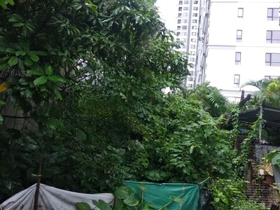 Cần bán loa cổ đang nghe tốt 3082