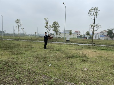 Cần bán loa cổ đang nghe tốt 5059
