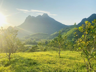 Bán đất lương sơn hòa bình - view suối - có thể trồng cây thảo dược - giá 800k/m 0