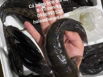 Cần bán loa cổ đang nghe tốt 3148
