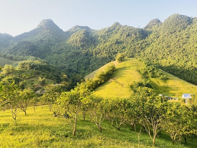 Bán đất lương sơn hòa bình - view suối - có thể trồng cây thảo dược - giá 800k/m 1