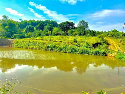 Bán đất lương sơn hòa bình - view suối - có thể trồng cây thảo dược - giá 800k/m 2