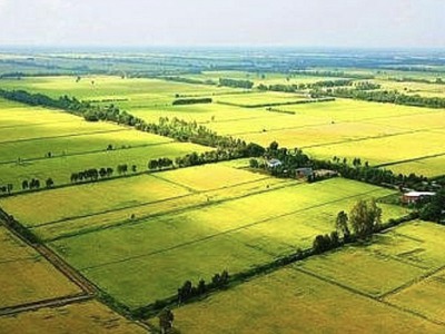 Cần bán loa cổ đang nghe tốt 5132