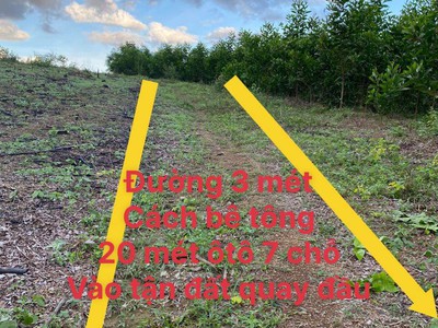 Cần bán loa cổ đang nghe tốt 3758