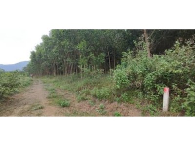 Cần bán loa cổ đang nghe tốt 3697