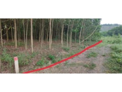 Cần bán loa cổ đang nghe tốt 3700