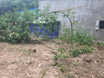Cần bán loa cổ đang nghe tốt 2823