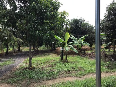 Cần bán loa cổ đang nghe tốt 4060