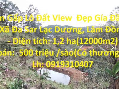 Cần bán loa cổ đang nghe tốt 2559