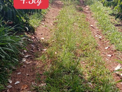 Cần bán loa cổ đang nghe tốt 3963