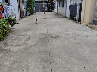 Cần bán loa cổ đang nghe tốt 5175