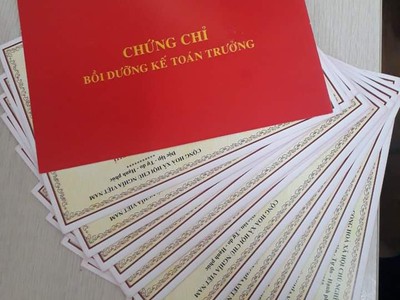 Học chứng chỉ kế toán trưởng hành chính sự nghiệp ở đâu tại Đà Nẵng 0