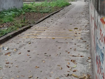 Cần bán loa cổ đang nghe tốt 7538
