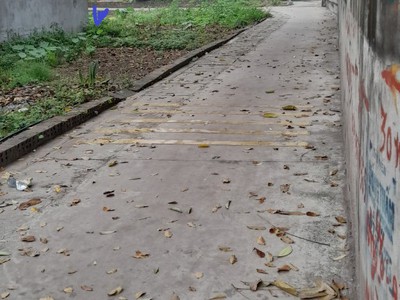 Cần bán loa cổ đang nghe tốt 7537