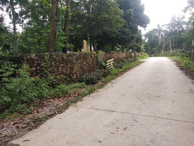 Bán 736m ở gò mè- Cư yên view hồ miễu, gần ngay hồ đồng tranh giá rẻ nhất khu vực 1