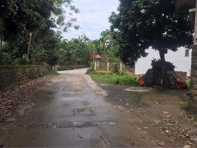 Bán 736m ở gò mè- Cư yên view hồ miễu, gần ngay hồ đồng tranh giá rẻ nhất khu vực 2