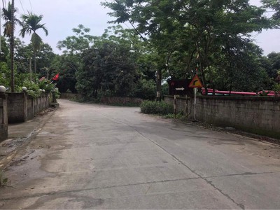 Bán 736m ở gò mè- Cư yên view hồ miễu, gần ngay hồ đồng tranh giá rẻ nhất khu vực 0