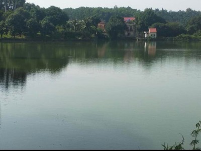 Bán 736m ở gò mè- Cư yên view hồ miễu, gần ngay hồ đồng tranh giá rẻ nhất khu vực 3