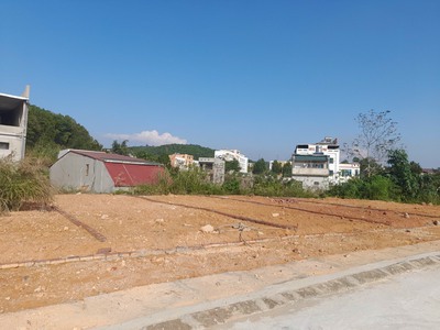Cần bán loa cổ đang nghe tốt 5485