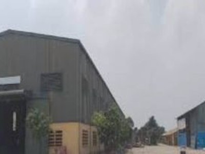 Cần bán đất làm xưởng 5500m Thường Tín, Hà Nội chỉ 25 tỷ Bao gồm 500m đất thổ cư còn 5000m đất nông 0