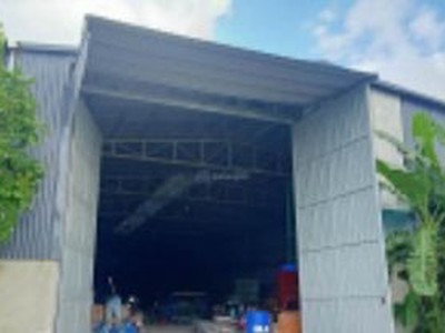 Cần bán đất làm xưởng 5500m Thường Tín, Hà Nội chỉ 25 tỷ Bao gồm 500m đất thổ cư còn 5000m đất nông 2