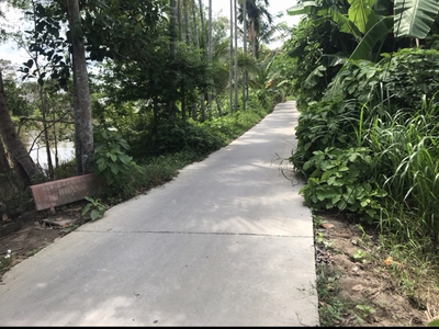 Cần bán loa cổ đang nghe tốt 7292