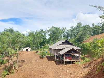 Bán đất tân lạc - hoa bình 4700m 800tc sưới lớn trong đất ,bao quanh là cánh đồng chỉ vài trăm 3
