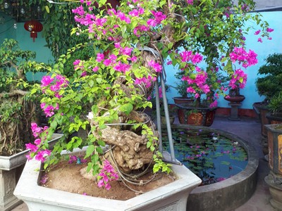 Cần bán loa cổ đang nghe tốt 5776