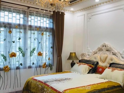 Bán biệt thự thăng long quận hải châu-view sông-phong cách châu âu hiện đại-hồ bơi xịn sò 1