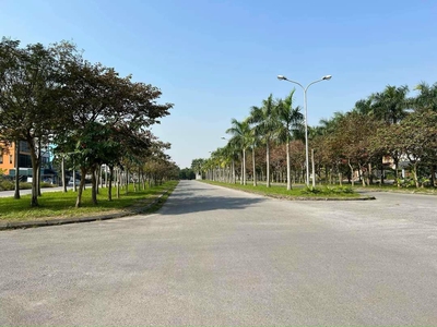 Bán đất lô góc hỗn hợp mặt đường Nguyễn Đình Bể, TP Hải Dương, 1565m2, cực đẹp 0